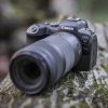 CANON RF 100-400MM 5.6-8 IS USM – Bild 6