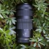CANON RF 100-400MM 5.6-8 IS USM – Bild 4